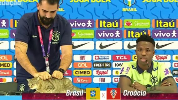 VÍDEO: gato invade entrevista de Vini Jr, é jogado no chão e web critica