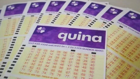 Resultado da Quina de sexta-feira, concurso 6114 de hoje (31/03/23)