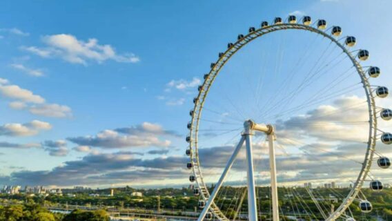 Roda-gigante de São Paulo: preço e como visitar a atração?