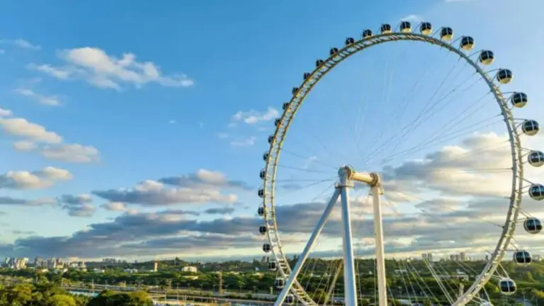 Roda-gigante de São Paulo: preço e como visitar a atração?