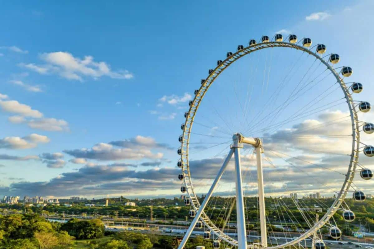 Roda-gigante de São Paulo: preço e como visitar a atração?
