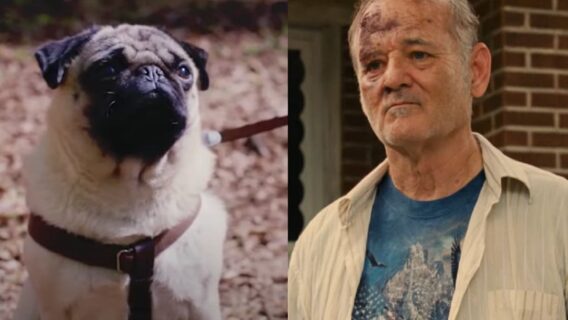 Sessão da Tarde volta na quarta-feira (7/12): veja filme e horário