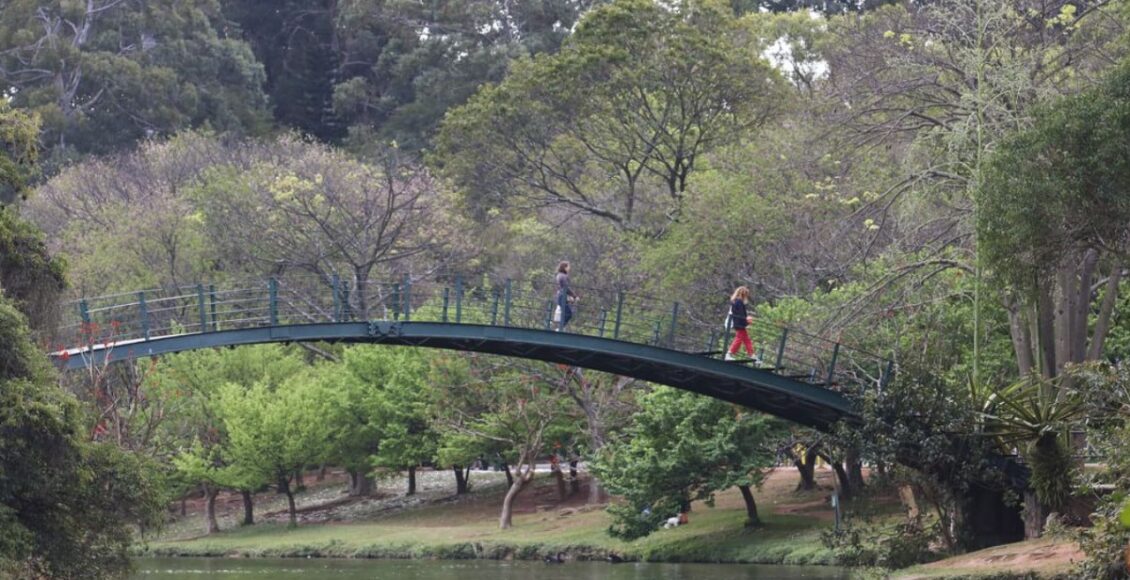 Imagem do Parque Ibirapuera; nela, é possível enxergar duas pessoas caminhando em uma ponte verde que passa por cima de um lago. Ao fundo, estão árvores de vários tamanhos