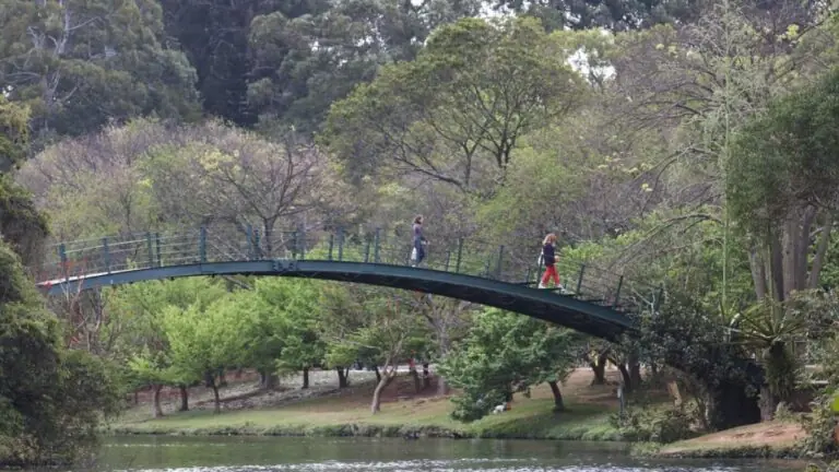 O parque Ibirapuera abre hoje, aniversário de 469 anos de SP