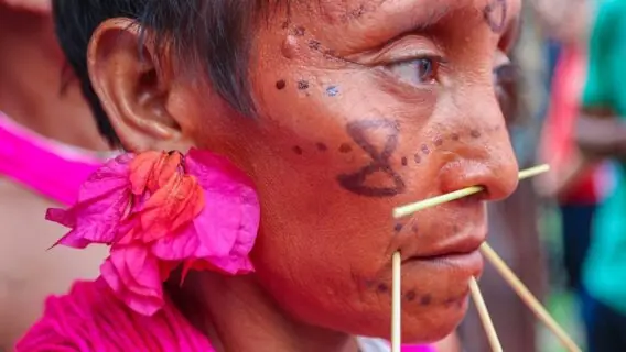 O que está acontecendo com os indígenas Yanomami?