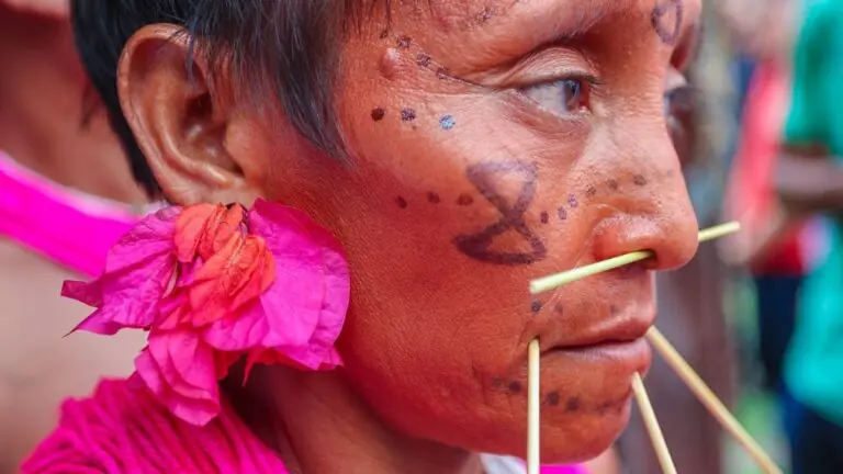 O que está acontecendo com os indígenas Yanomami?