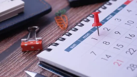 Quinto dia útil de junho 2023: veja quando vai cair