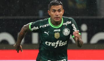 numeração do Palmeiras