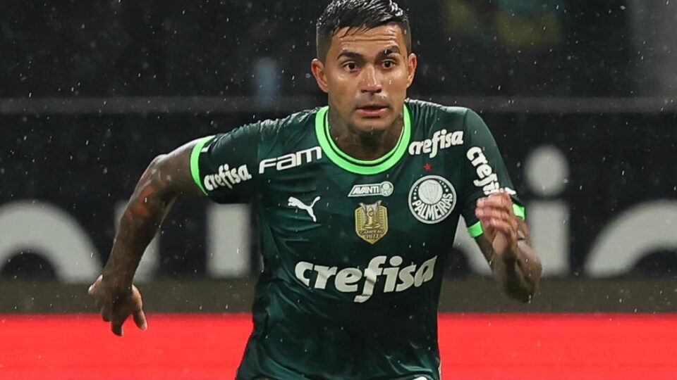 numeração do Palmeiras