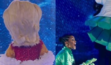 Quem já saiu do Masked Singer brasil, a capivara na esquerda e a broco lee na direita