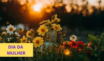 Flores para o Dia da Mulher