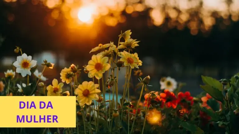 Flores para o Dia da Mulher: significados para não errar na escolha