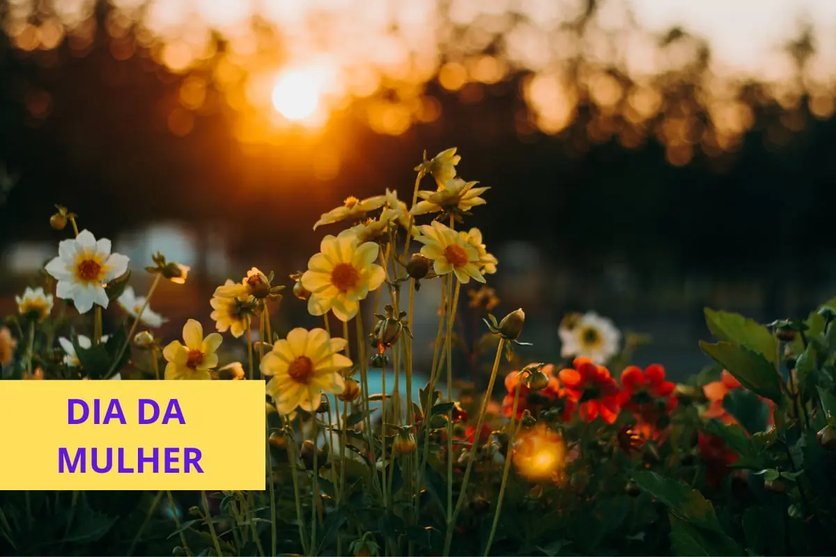 Flores para o Dia da Mulher