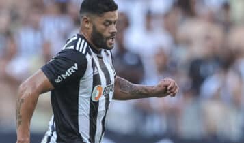 galo