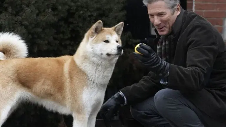 Sessão da Tarde da semana: lista de filmes de 20 a 24 de março de 2023