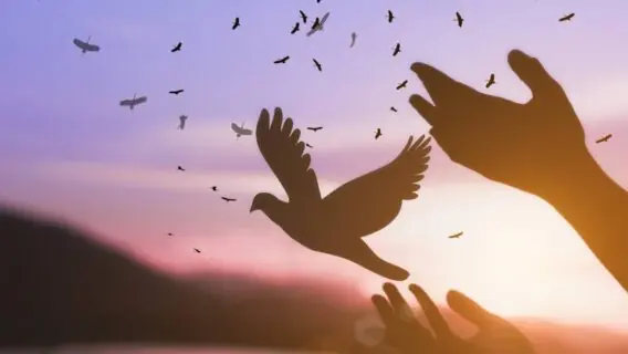 Bem-vindo abril: 30 frases para saudar o mês de 2023