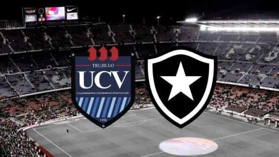 Hora e canal: onde vai passar jogo do Botafogo hoje (25/05)