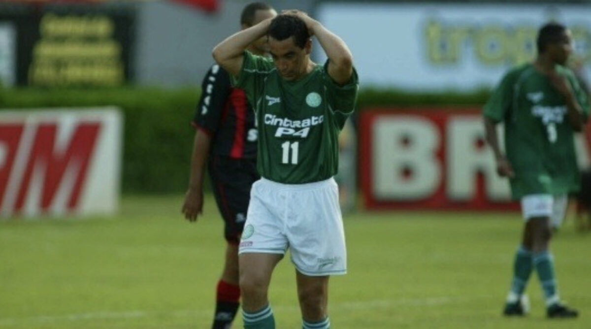 O Verdão de Zinho foi rebaixado no Brasileirão 2002