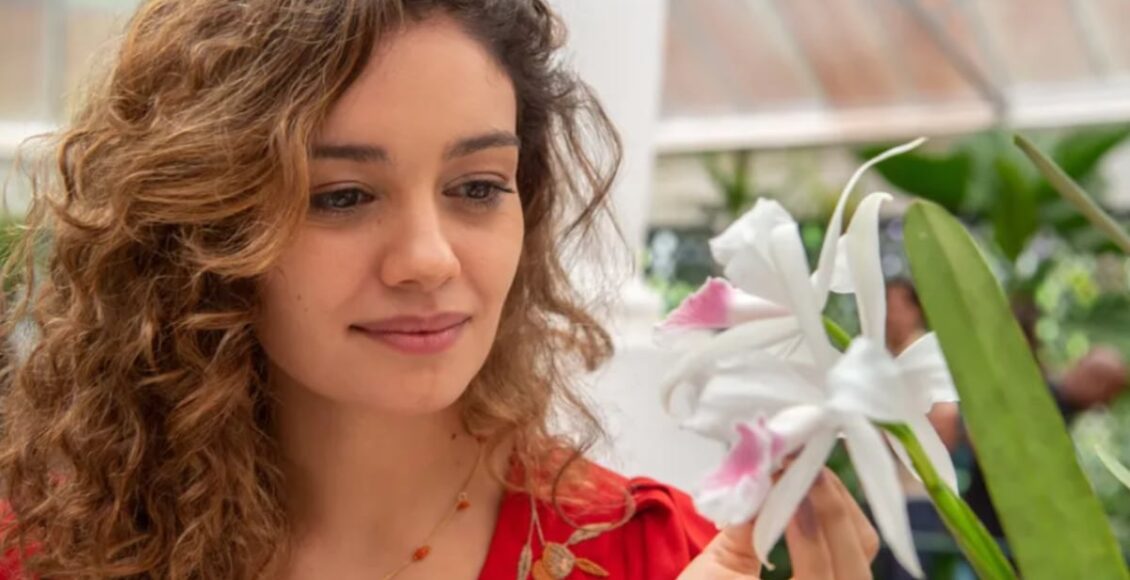 todas as flores vai passar na tv aberta