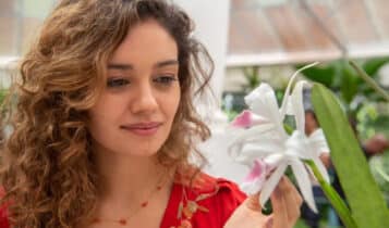 todas as flores vai passar na tv aberta
