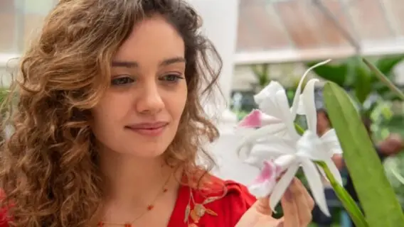 Confirmado: Todas as Flores vai passar na TV aberta