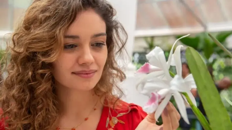 Confirmado: Todas as Flores vai passar na TV aberta