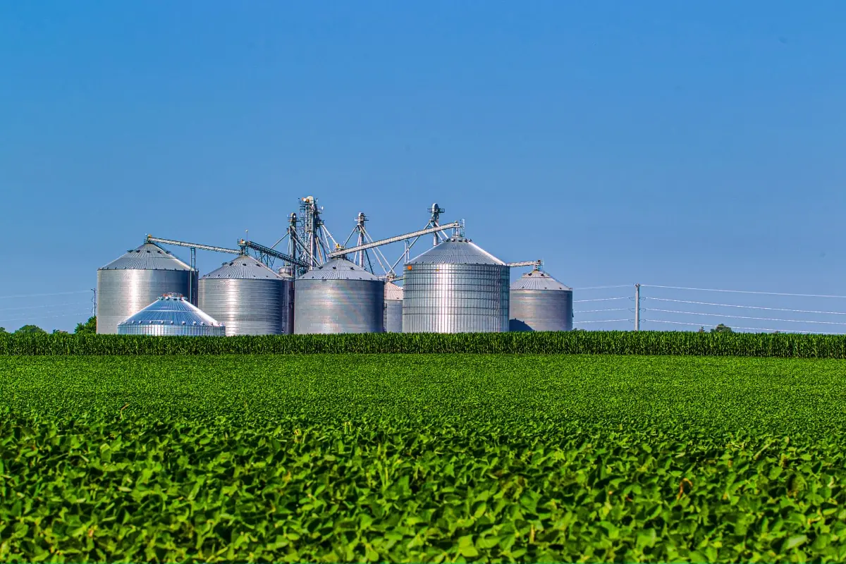 Pib do Brasil cresce