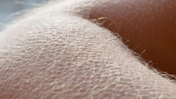 Mito ou no frio os pelos crescem mais rápido?