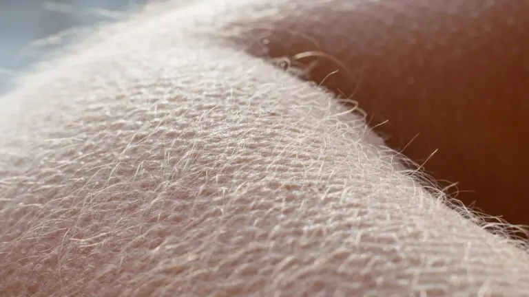 Mito ou no frio os pelos crescem mais rápido?