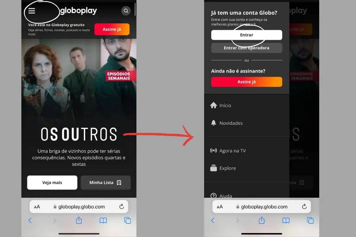 Onde vai passar o jogo do Botafogo hoje online no Brasileirão