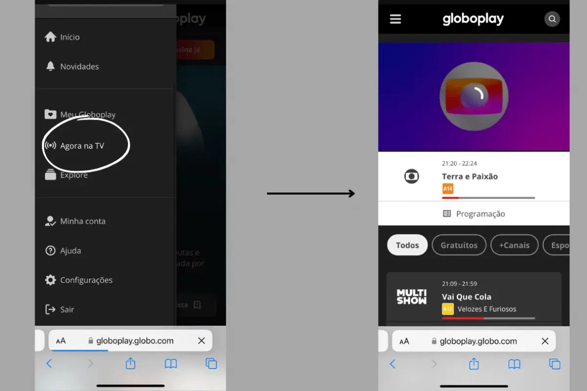 Onde vai passar jogo do Fluminense online na Libertadores 
