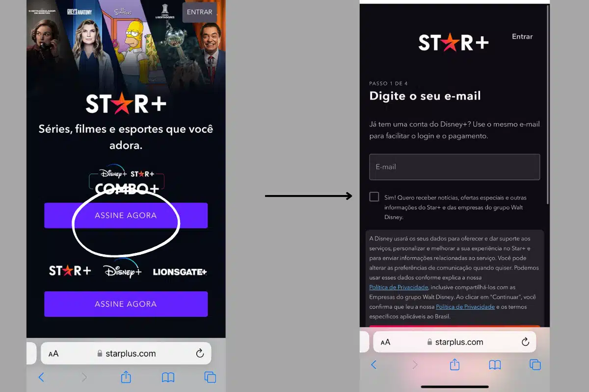 Onde assistir jogo do Palmeiras online hoje na Libertadores