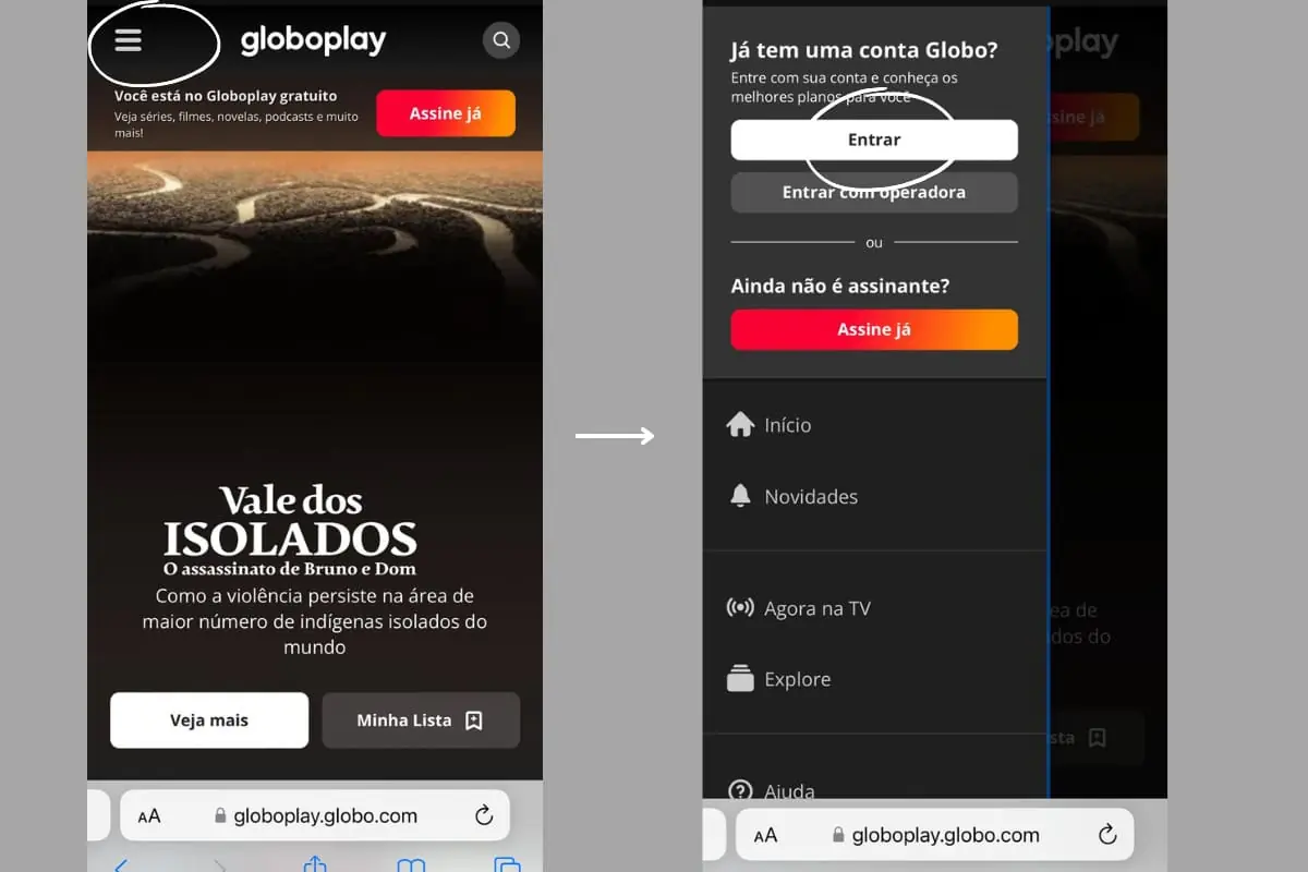 Onde assistir jogo do Palmeiras online hoje na Libertadores