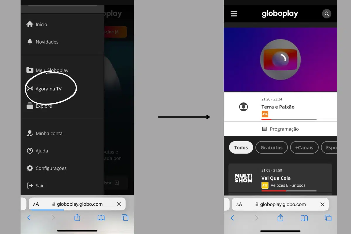 Onde assistir jogo do Palmeiras online hoje na Libertadores