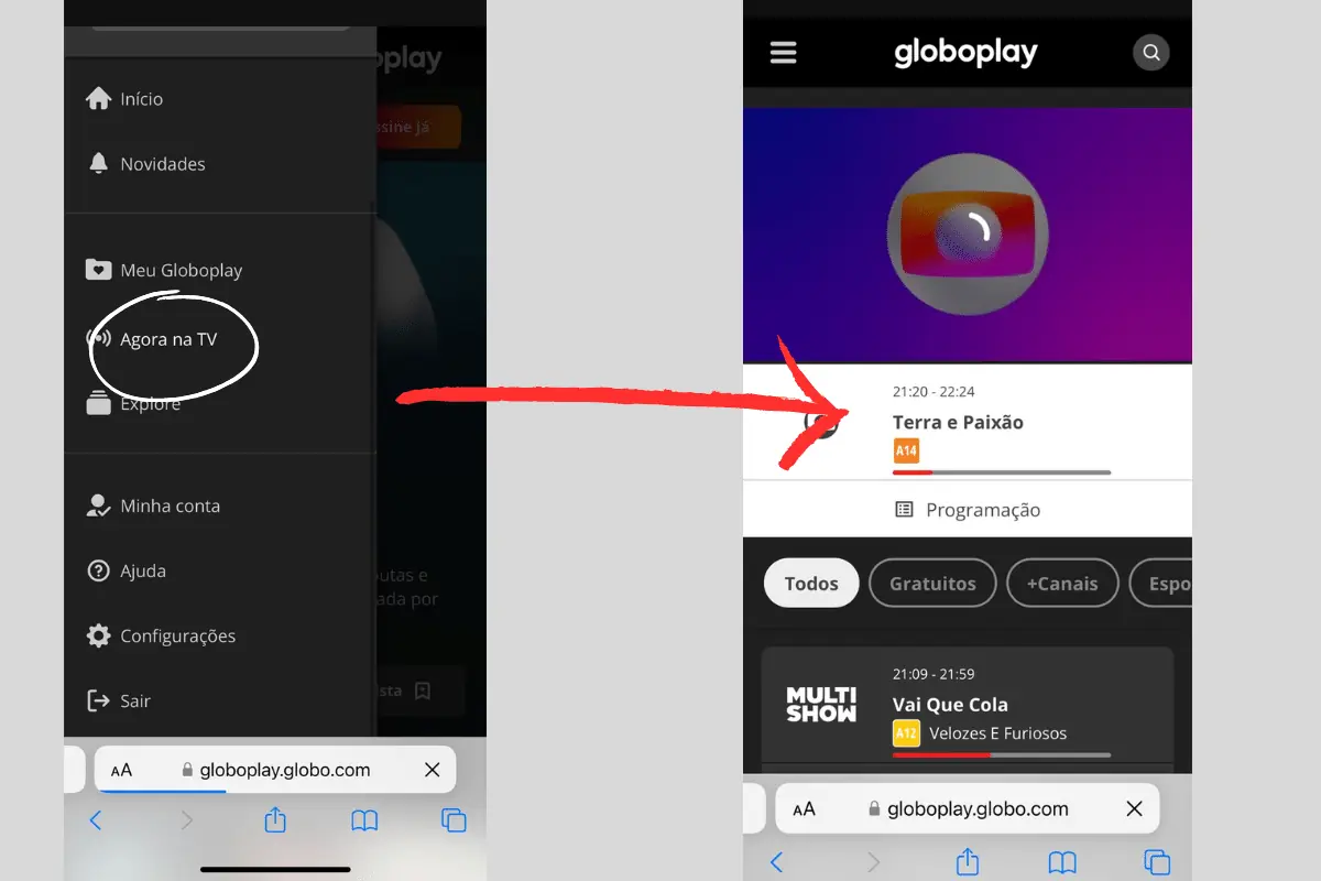 Onde vai passar jogo do Santos hoje online no Brasileirão