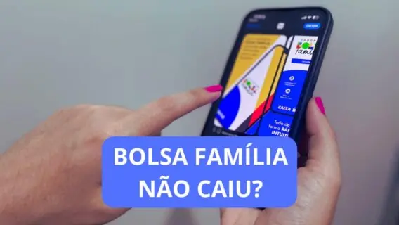 Meu bolsa família está liberado, mas não caiu na conta: e agora?