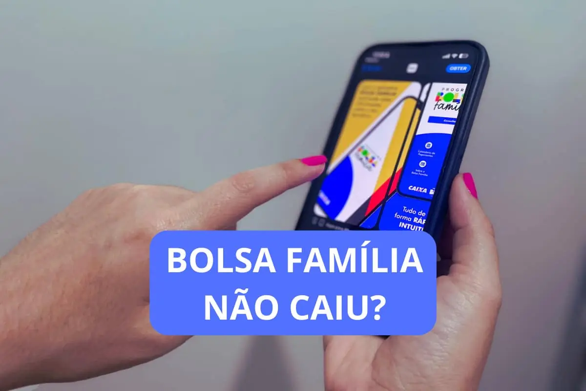 Meu bolsa família está liberado
