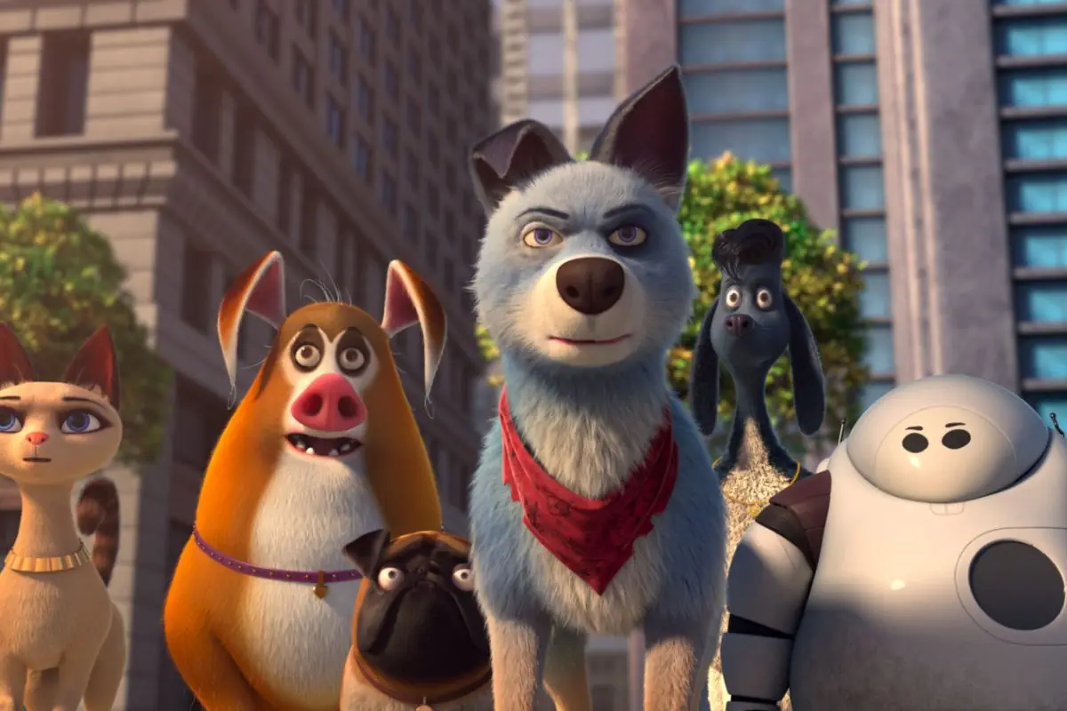 filme de cachorro