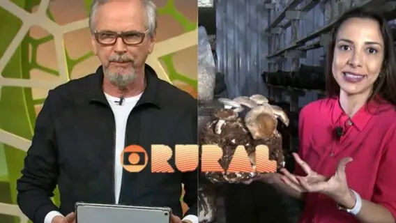 Que horas começa o Globo Rural  e como assistir ao vivo