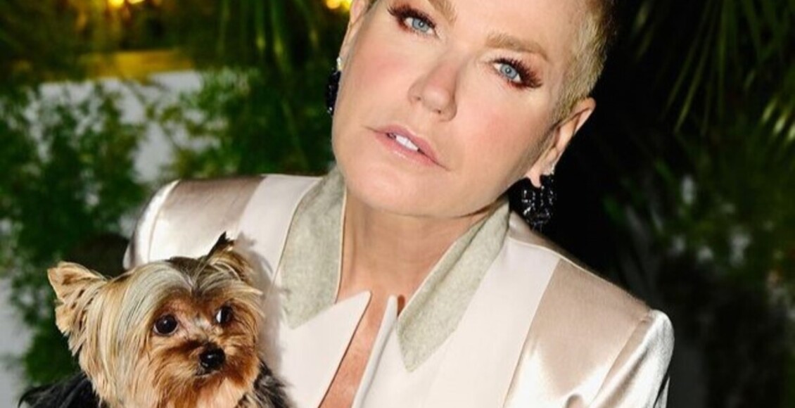 xuxa voltou para a globo