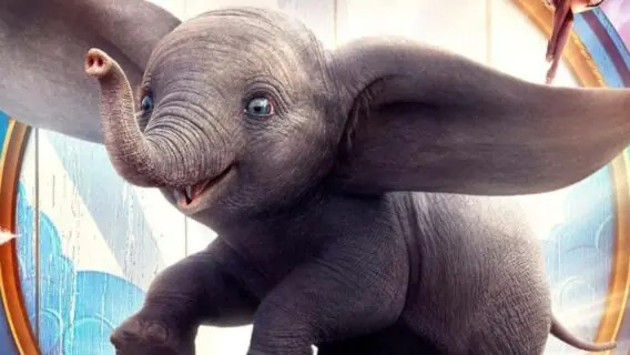 Temperatura Máxima hoje (6/8) vai passar Dumbo