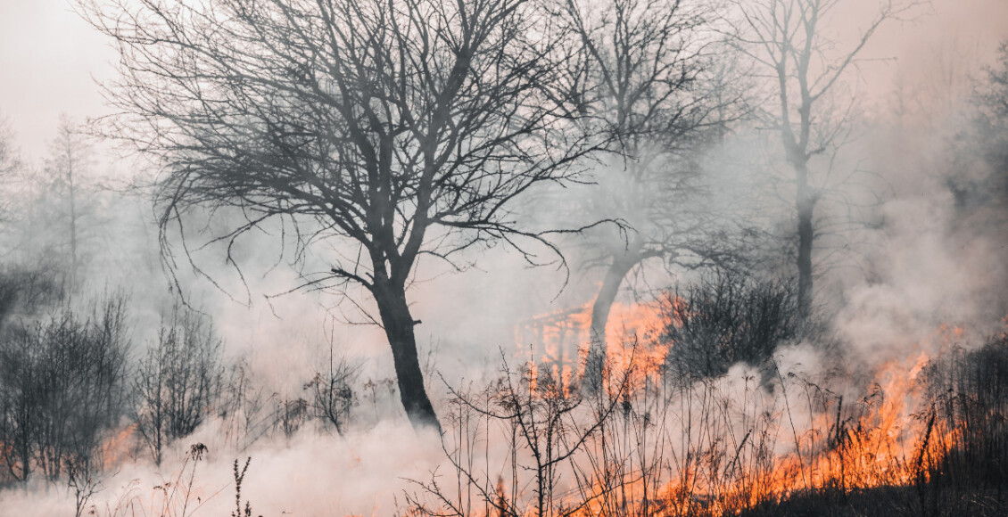 Como começou o incêndio no Havaí