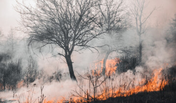 Como começou o incêndio no Havaí