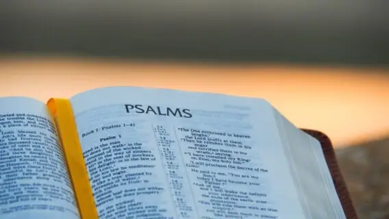 Salmo 70 é infalível para ajudar nas causas urgentes