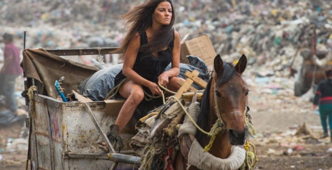 A Gata é remake de qual novela