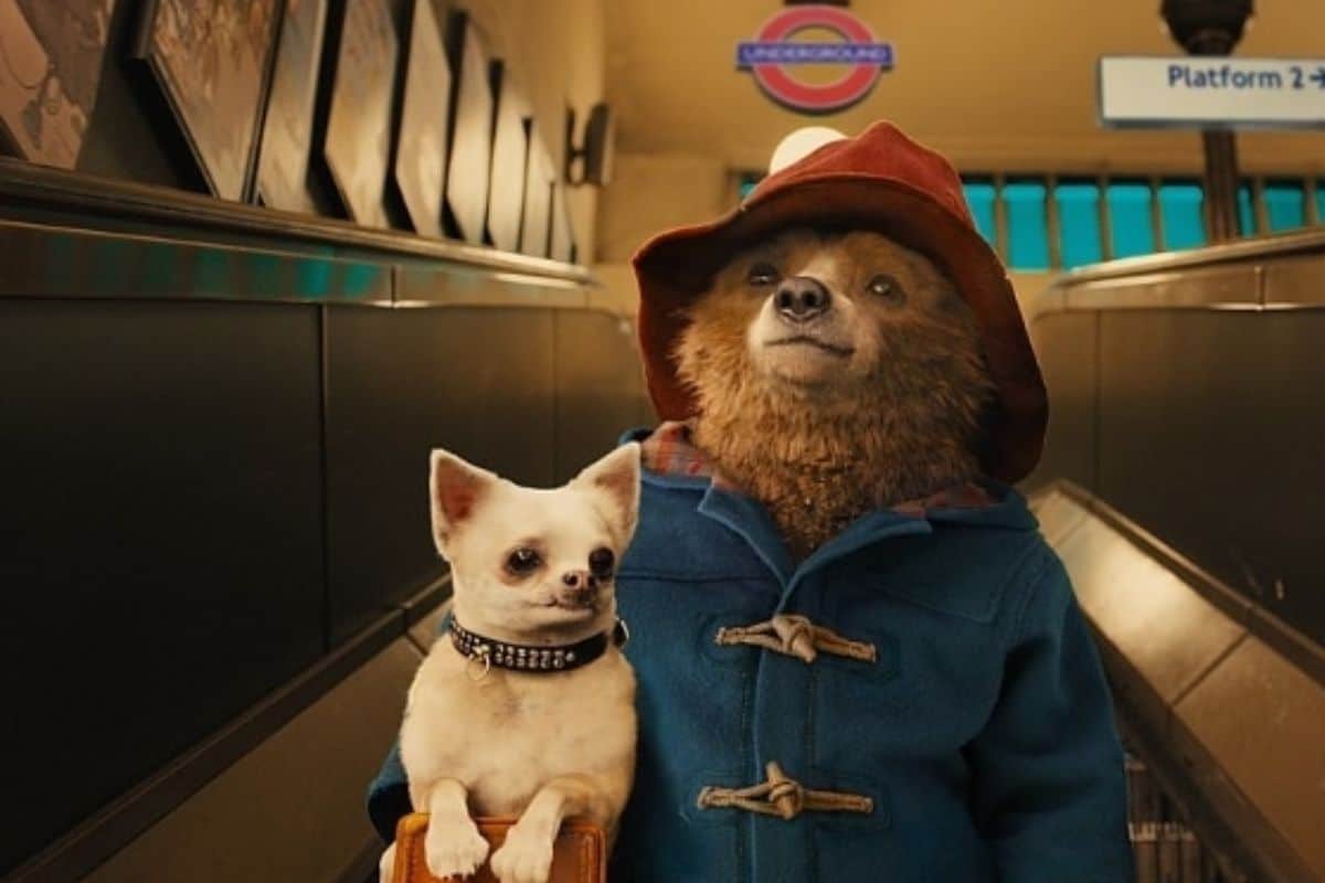 as aventuras de paddington