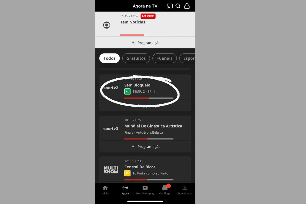 Como assistir Brasil x Ucrânia vôlei masculino online no Pré-Olímpico