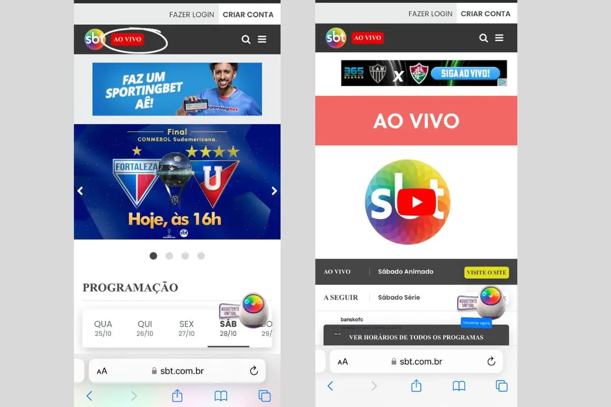 como assistir a final da Sul-Americana online