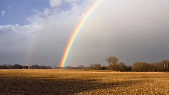 Bem-Vindo novembro: 64 frases para um mês de bençãos