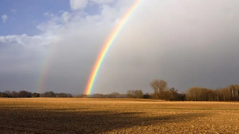 Bem-Vindo novembro: 64 frases para um mês de bençãos